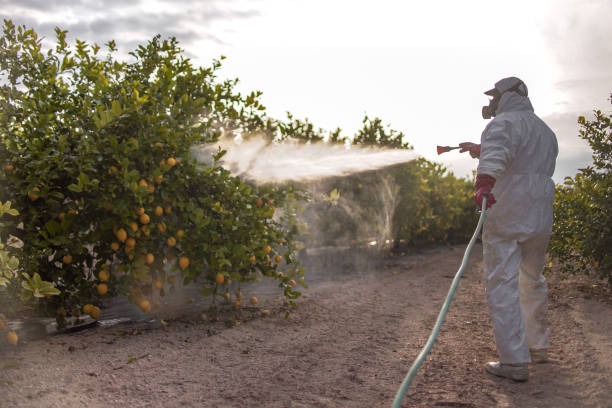 Best Commercial Pest Control Services  in Columbiana, OH